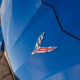Chevrolet Corvette Stingray, dettaglio logo