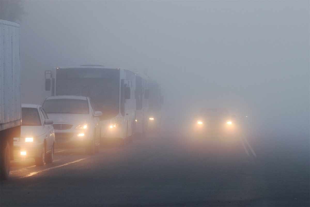 strada con nebbia