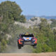 Thierry Neuville WRC 2023, Italia
