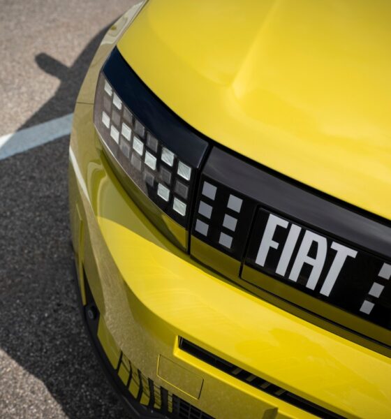 FIAT Grande Panda, dettaglio