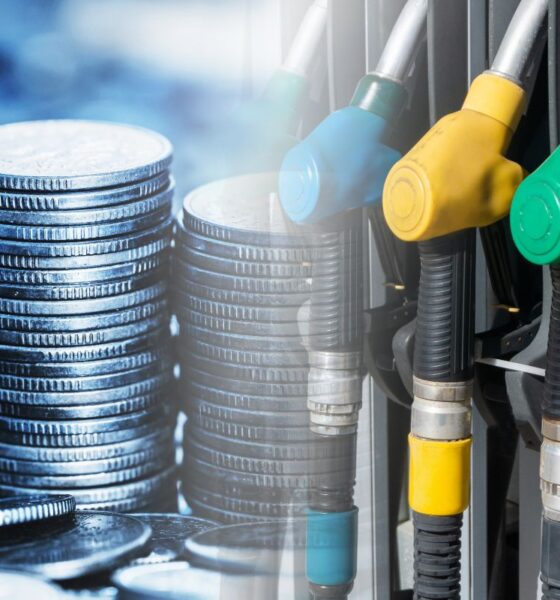 Pile di monete accostate a pompe di carburante