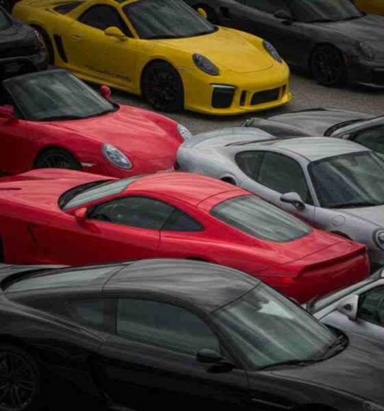 Scelta colore auto