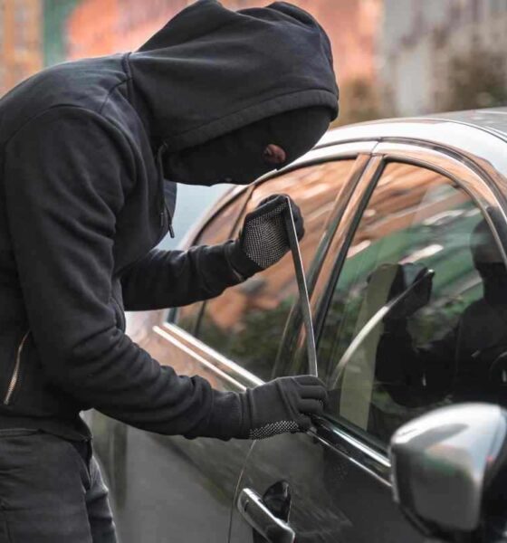Furti auto curiosità