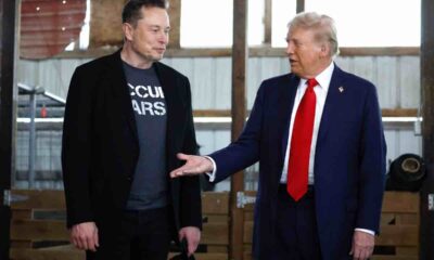 Musk che rivelazione