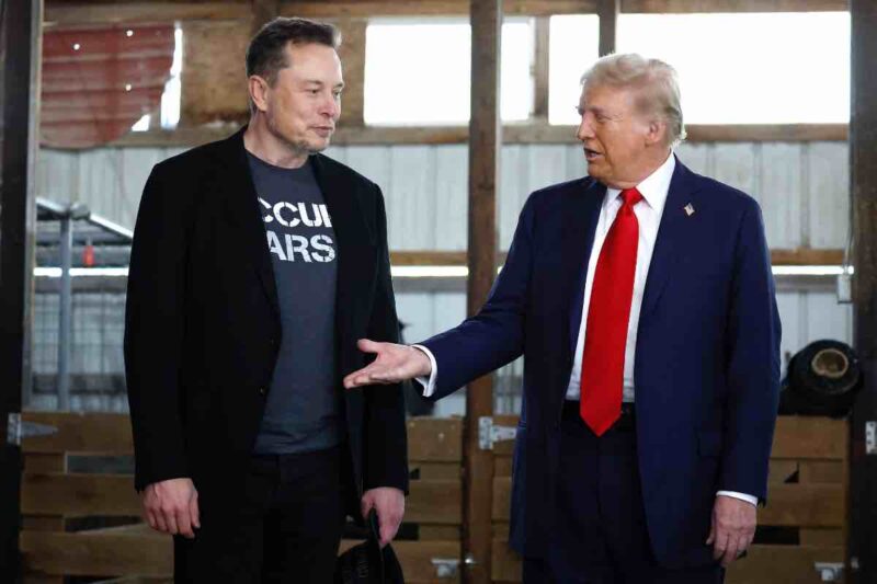 Musk che rivelazione