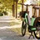 Bici elettrica