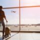 Viaggiatore con la valigia