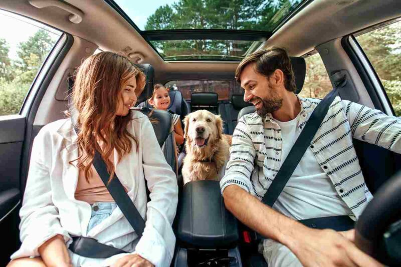 Auto cane migliori