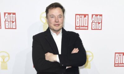 Elon Musk allarme