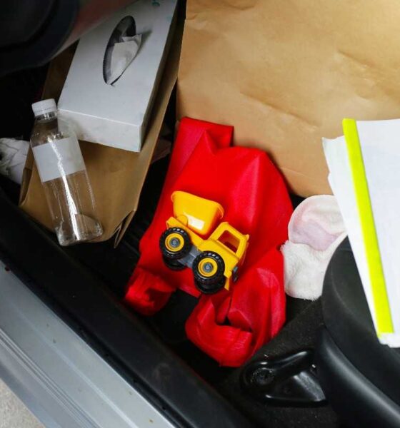 Oggetti in auto