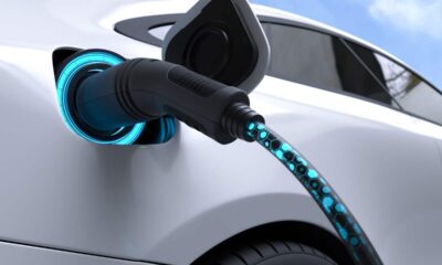 Auto elettrica rischio estate