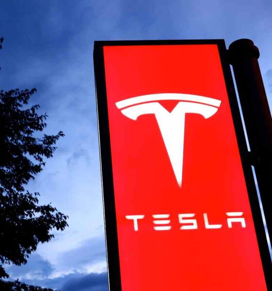 Tesla vendite perché diminuite