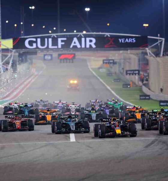 Guadagni F1 piloti
