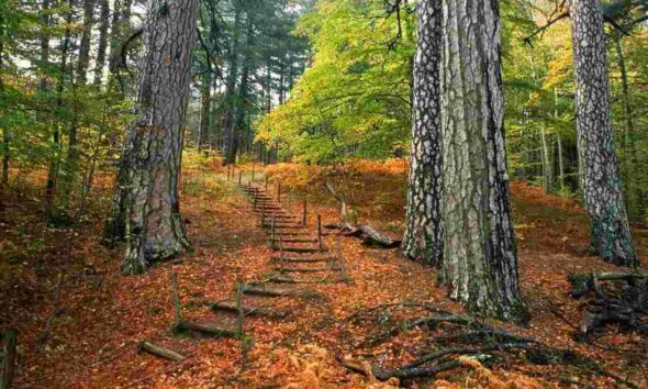 Il parco più bello d'Italia è in Calabria: scopriamolo