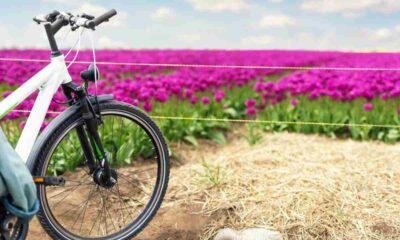 Bici