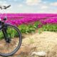 Bici
