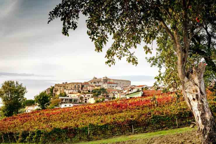 Vino Taurasi borgo