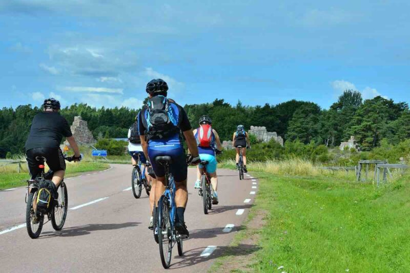 Bicicletta elettrica pedalata