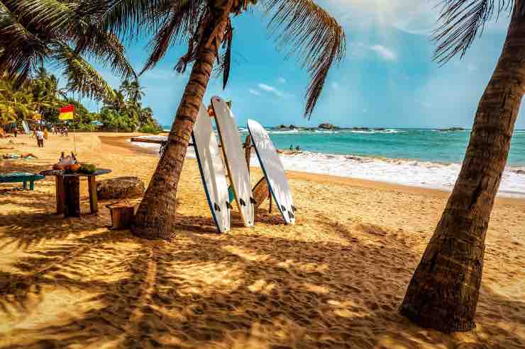 Surf spiaggia bellissima